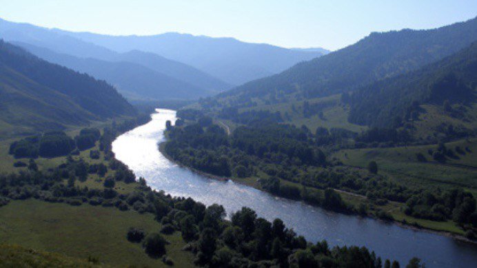 Фотография из Википедии