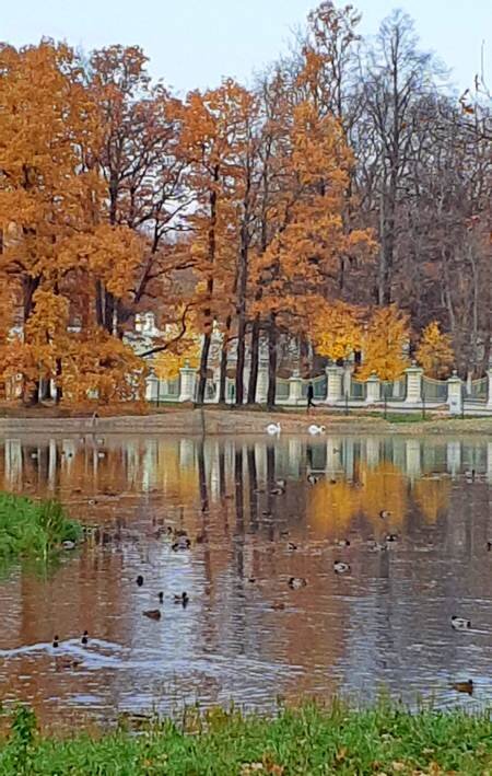 Карпиев пруд у южной ограды Большого дворца /фото из личного архива/