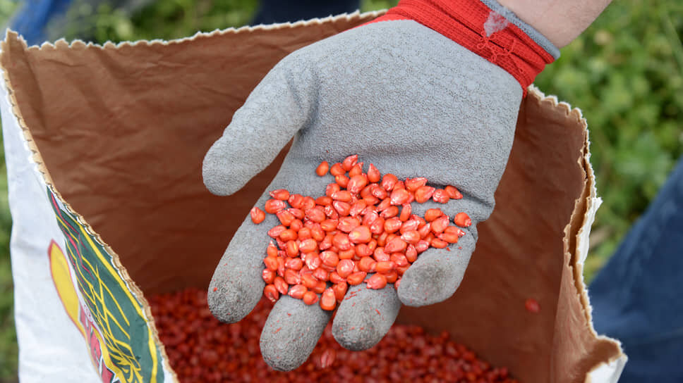    Фото: Олег Харсеев / Коммерсантъ