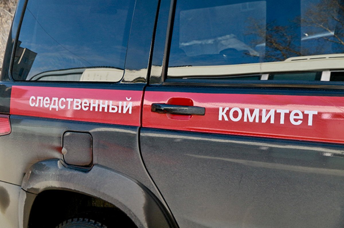    В СК сообщили о смерти 17-летней девушки и 18-летнего парня в Новосибирске