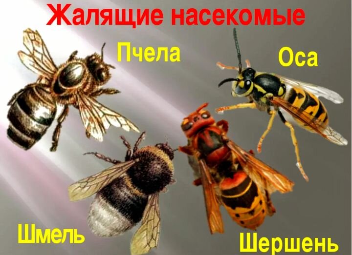 Фото с просторов инста