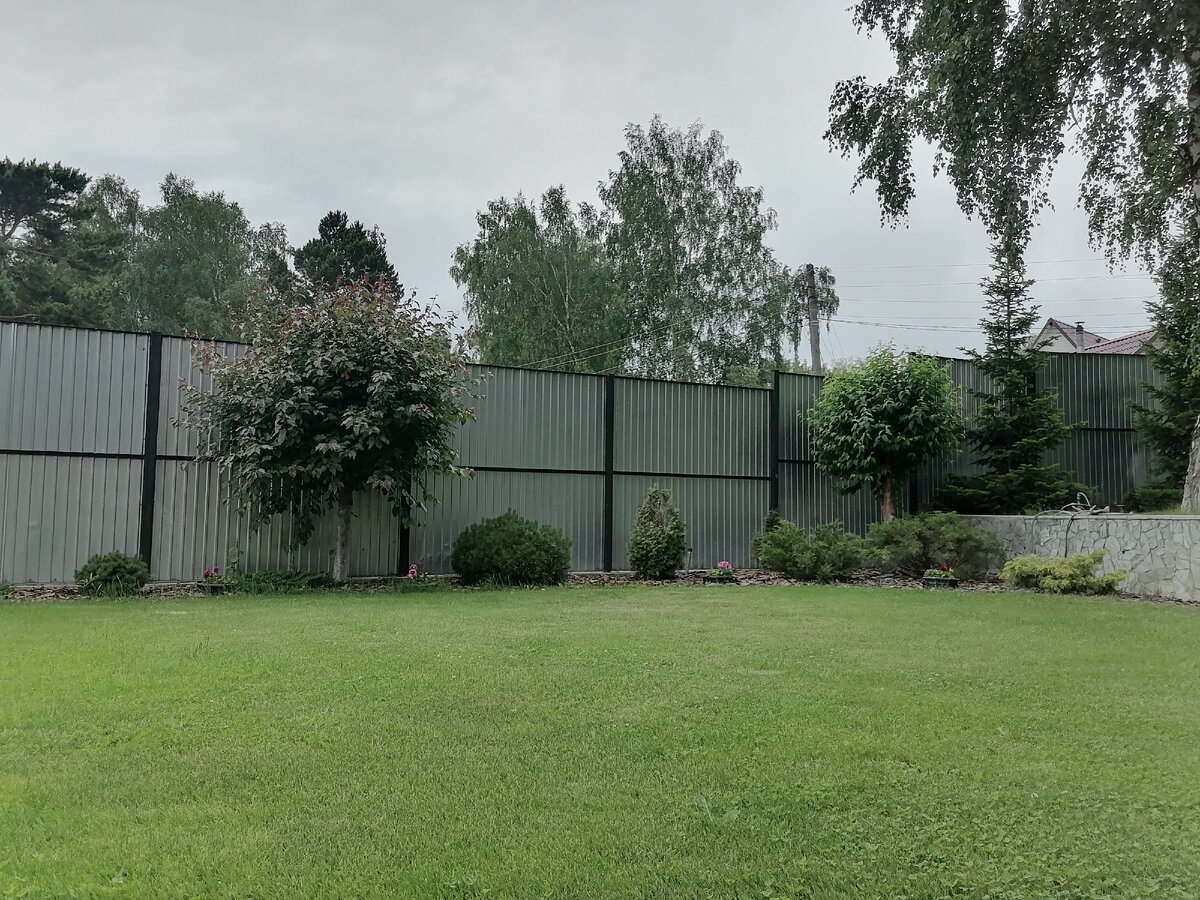 Фото до стрижки 