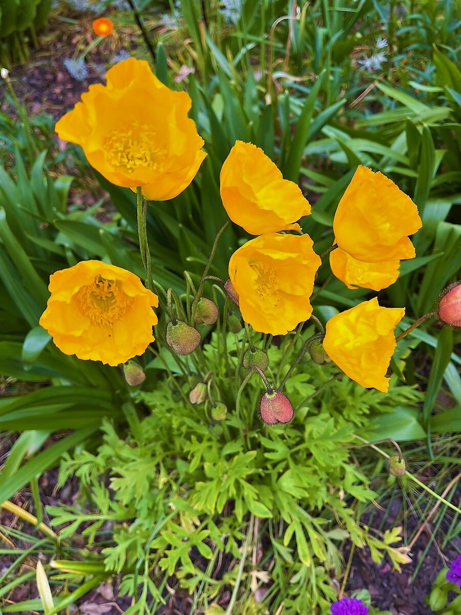                                            И печаль, и радость. Фото Е. Островской.