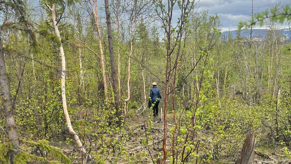 Жительница Норильска 20 лет назад погубила падчерицу и солгала, что её  украли цыгане | Проспект Мира | Дзен