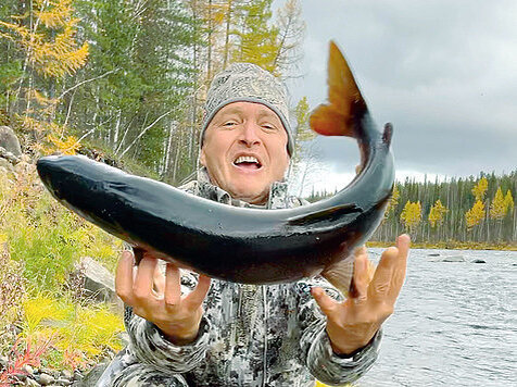 Фото: Тоболь Евгении.