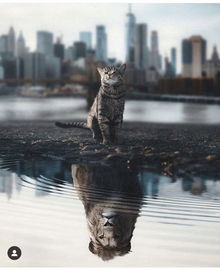 Фото из Pinterest 