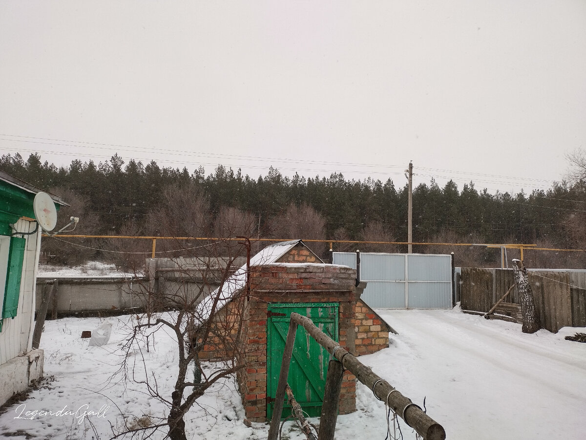 Снег идет...