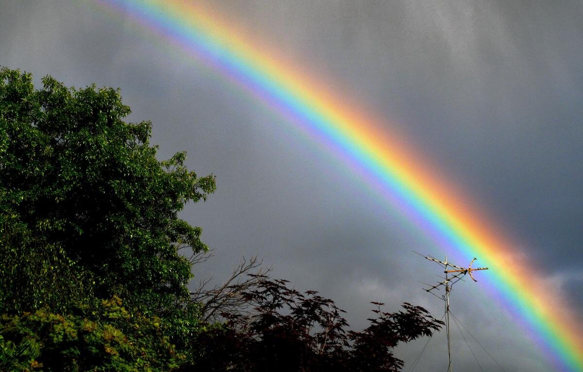 Фото: pxhere.com