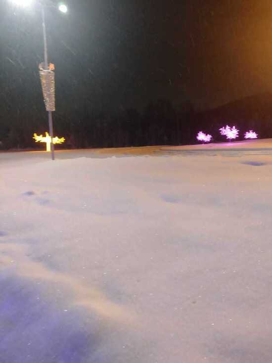     Фото: МК Ямал