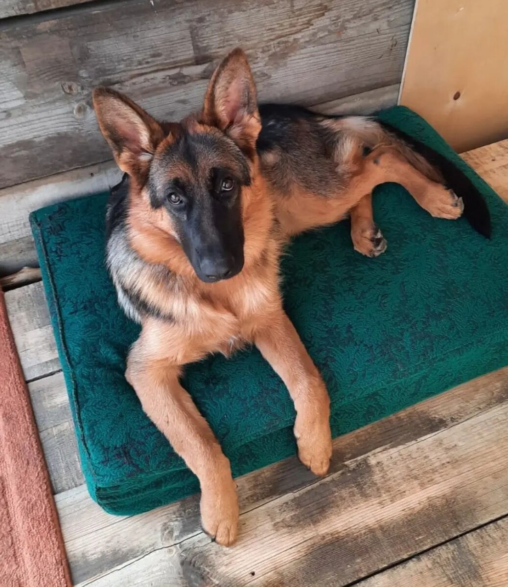 слушает с интересом 