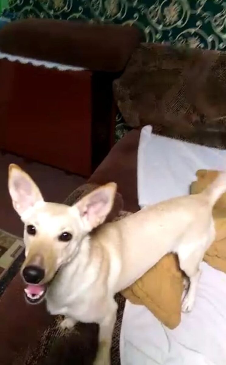 Зайка дома.. 