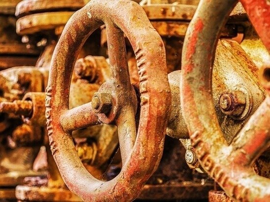     фото: pixabay.com