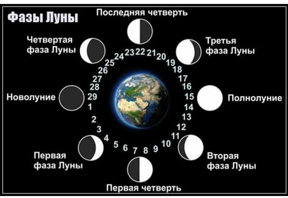фазы луны в москве