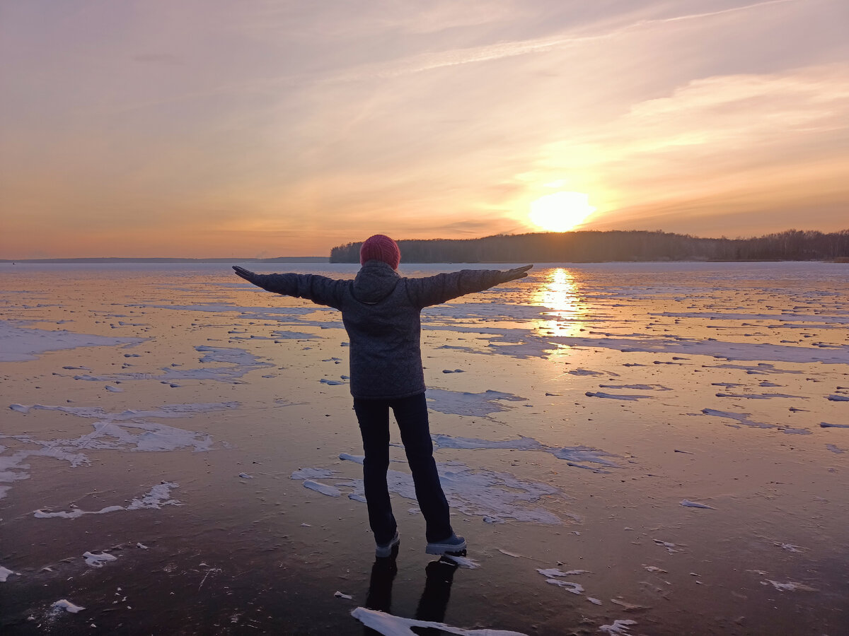 В поисках своей "стаи"
