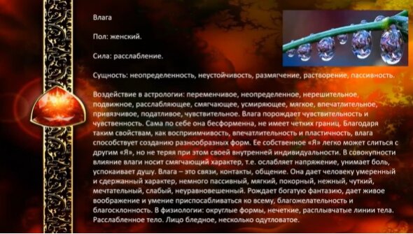 Фото вагина крупным планом внутри