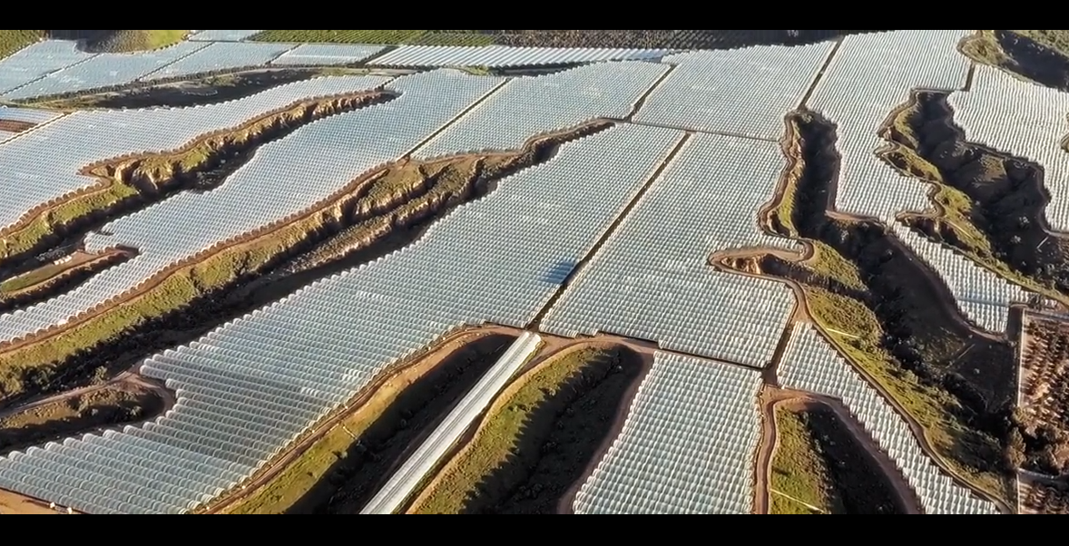 Чудовищный гигантский агрокомплекс. Один из монстров, которые наших героев не привлекают.