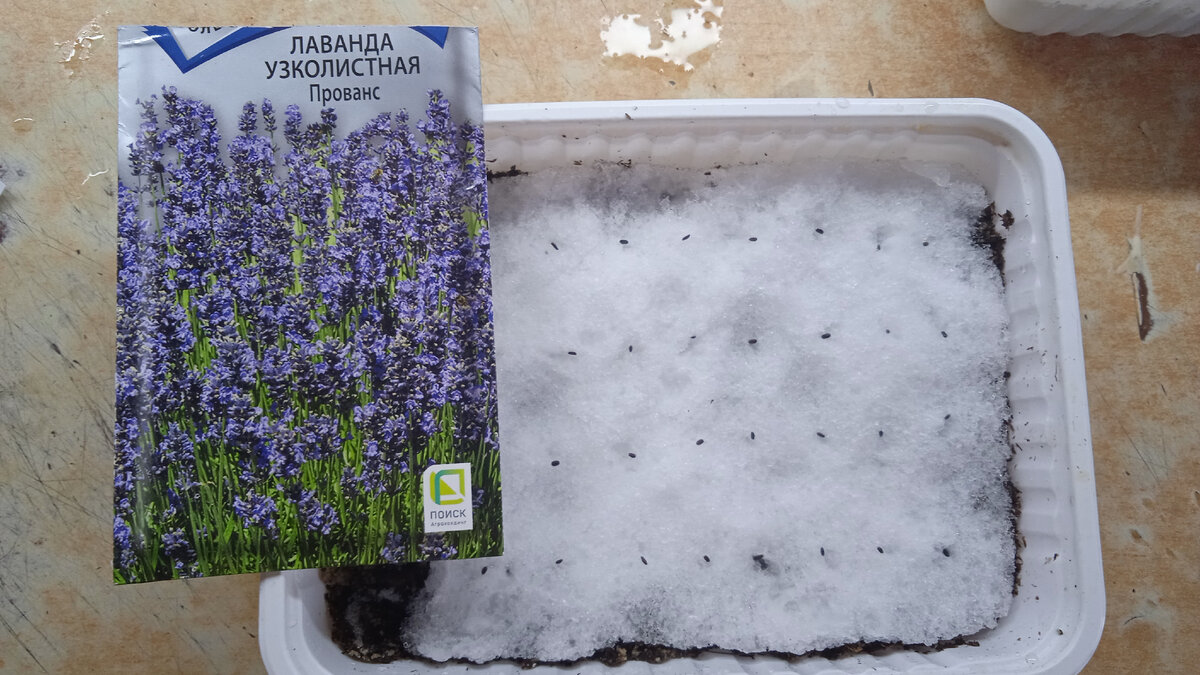 Достала ёмкость через 4 часа снег ещё тает. 