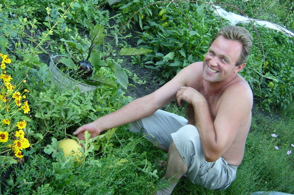 На участке Дмитрия Вершинина дыни такой же "всенепременный атрибут" как томаты и лук.