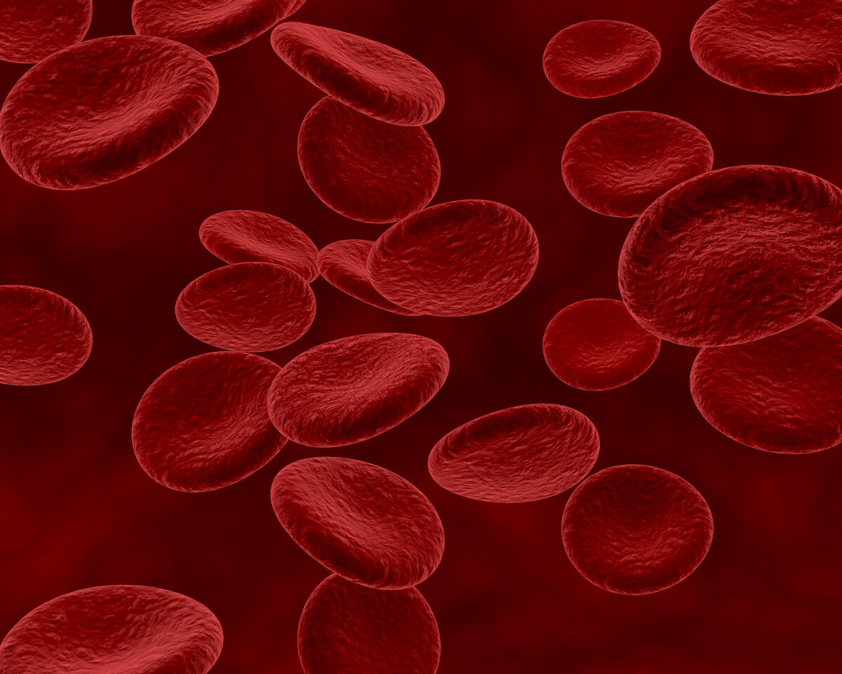 <a href="https://ru.freepik.com/free-photo/red-blood-cells_936788.htm#query=%D0%B3%D0%B5%D0%BC%D0%BE%D0%B3%D0%BB%D0%BE%D0%B1%D0%B8%D0%BD&position=13&from_view=search&track=sph">Изображение от kjpargeter</a> на Freepik