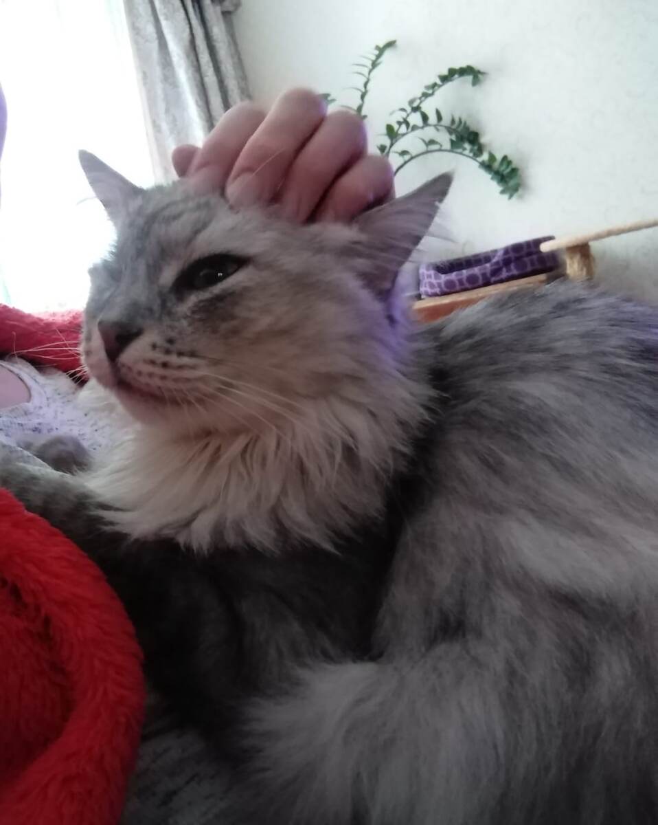 Сергеич