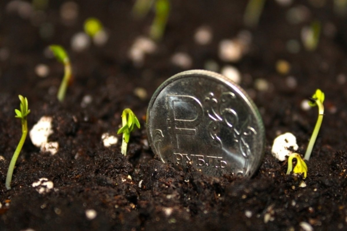    Губернатор Куйвашев продлил срок действия аренды сельхозземель за рубль