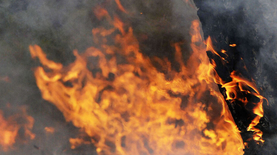    Автор фото: Андрей Архипов (из архива)