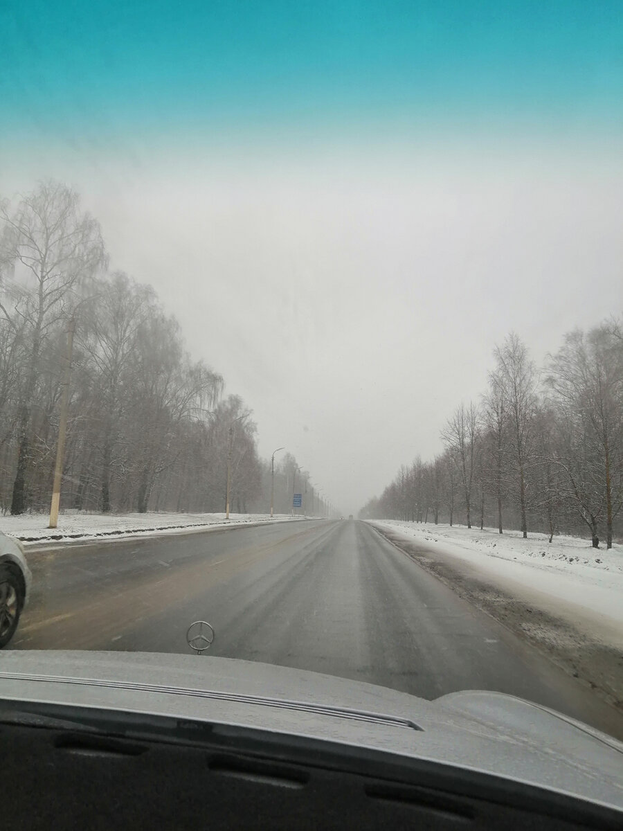 Совсем немного по трассе от города до поворота в посёлок. Фото автора. 
