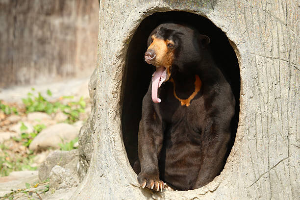 источник: istockphoto.com