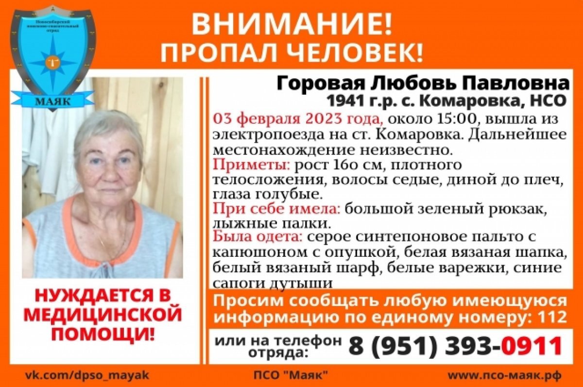 В Новосибирской области пропала 82-летняя пенсионерка с лыжными палками |  АиФ Новосибирск | Дзен