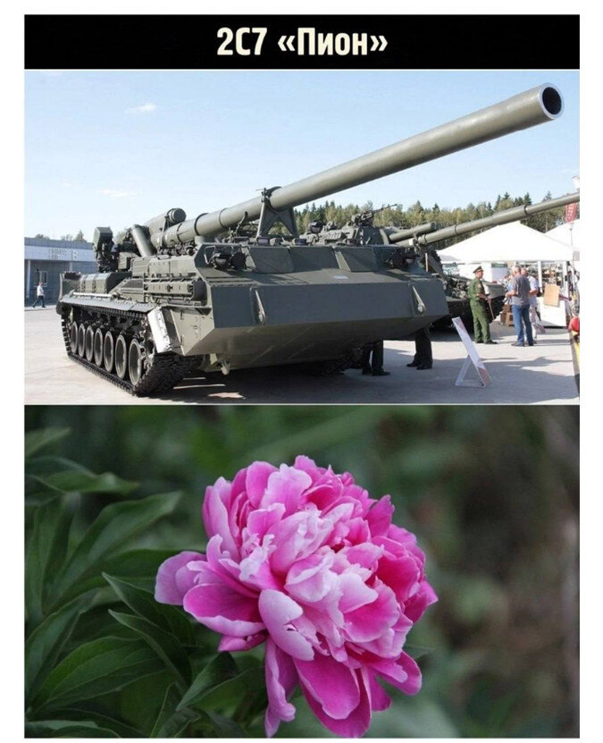 Все фото из интернета. 