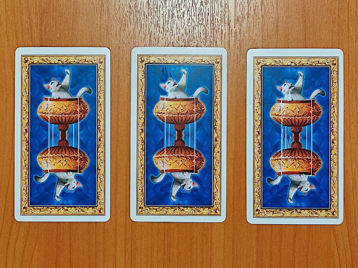 Таро Белых Кошек 