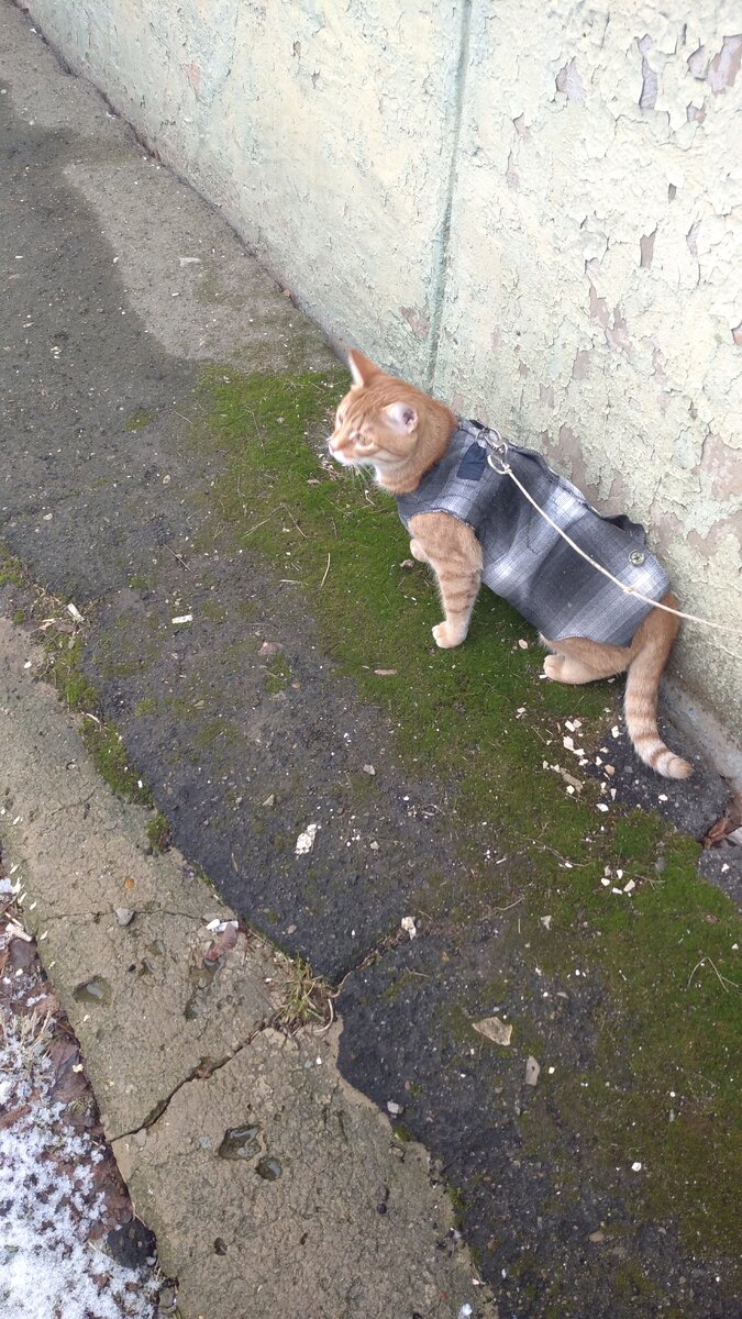 Личное  фото