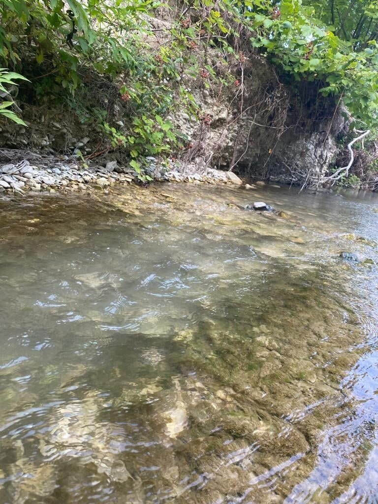 О выгоде и тонкостях отдыха на море. Цены и чистое море Прасковеевки нас  приятно удивили. | Никитины про жизнь на море. | Дзен