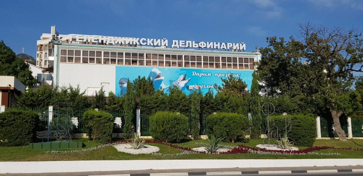  Краткое описание
Вы решили провести свой отпуск в Геленджике? — Тогда вы наверняка слышали про то, как красив этот город с его живописной бухтой, уютной набережной и могучими горами.-14