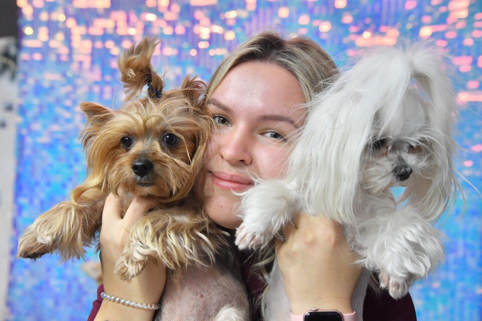     Кинолог дал советы для продления жизни собаки  GLOBAL LOOK PRESS