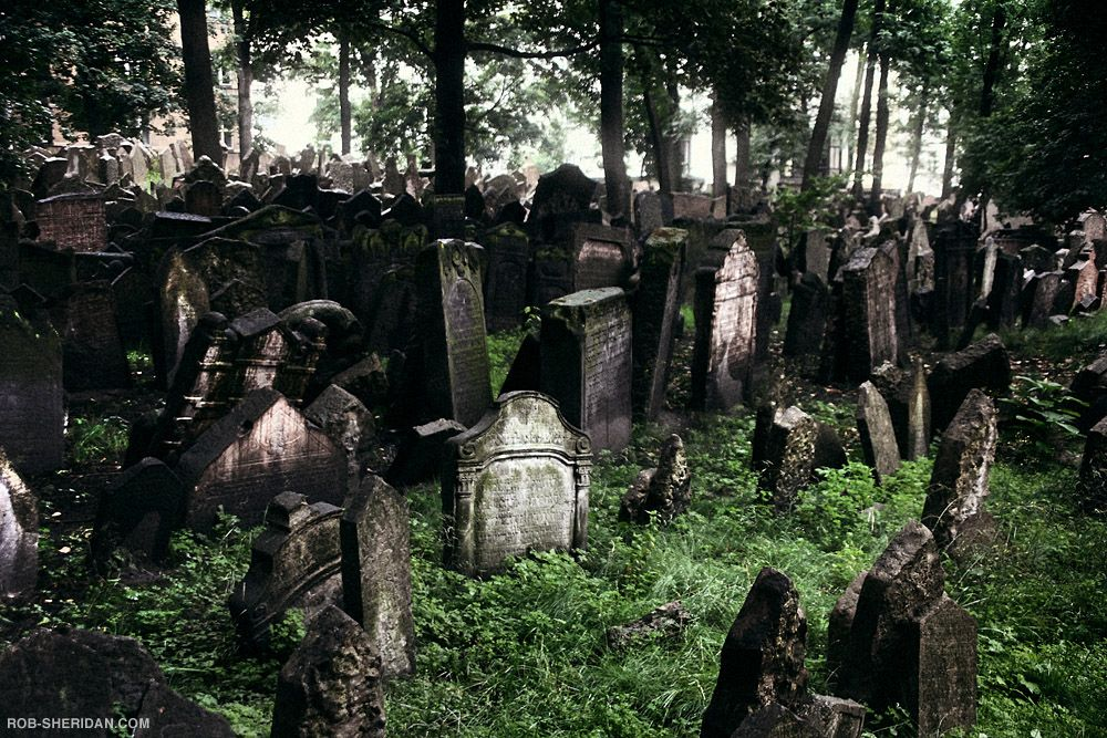 Мариебергское кладбище. Савынкан кладбище. Сонник старое кладбище. Черветто кладбище. Призрак рядом кладбище.