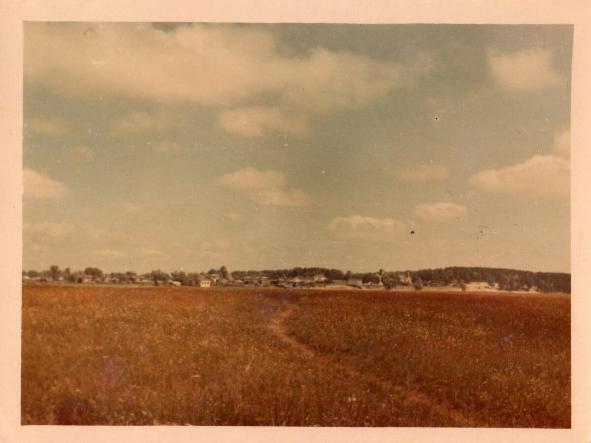 Тропинка с Волги в поселок