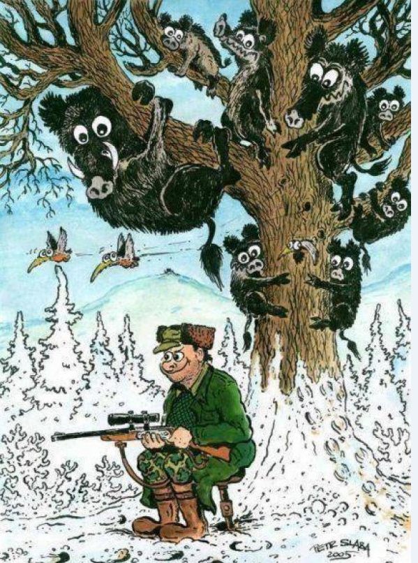 Яндекс Картинки.