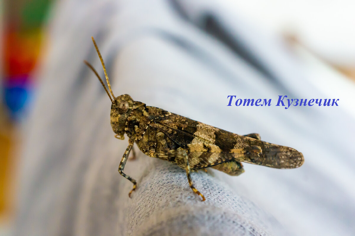 Изображение от wirestock на Freepik