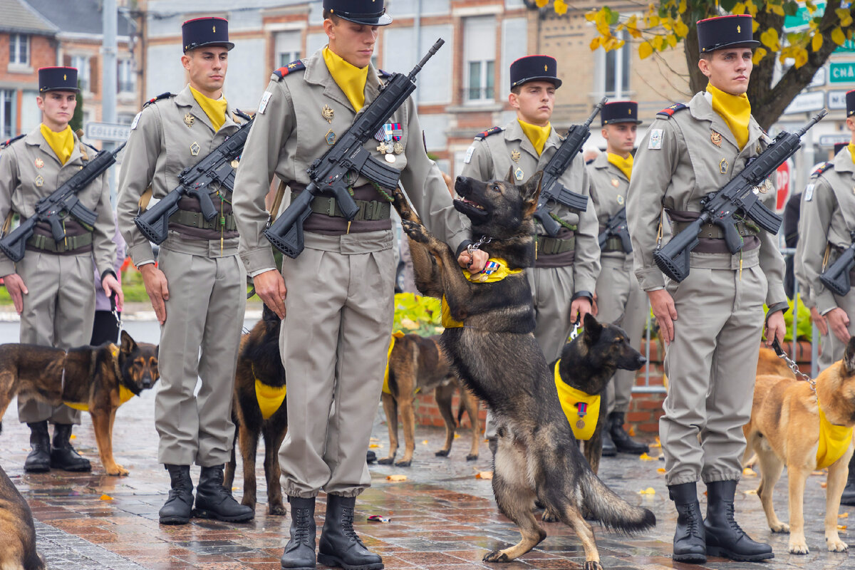 Фото:  VINCENT ISORE/KEYSTONE PRESS AGENCY/GLOBALLOOKPRESS