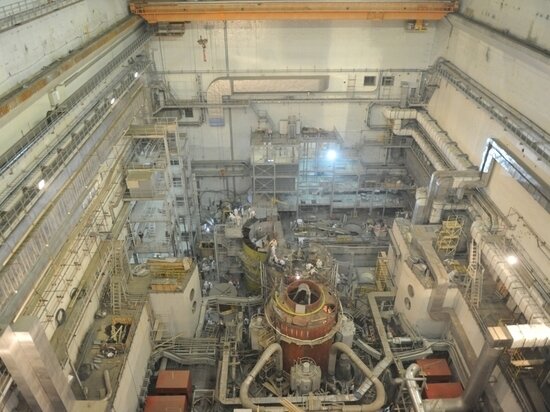     фото: Андрей Давыдов / МК-Урал