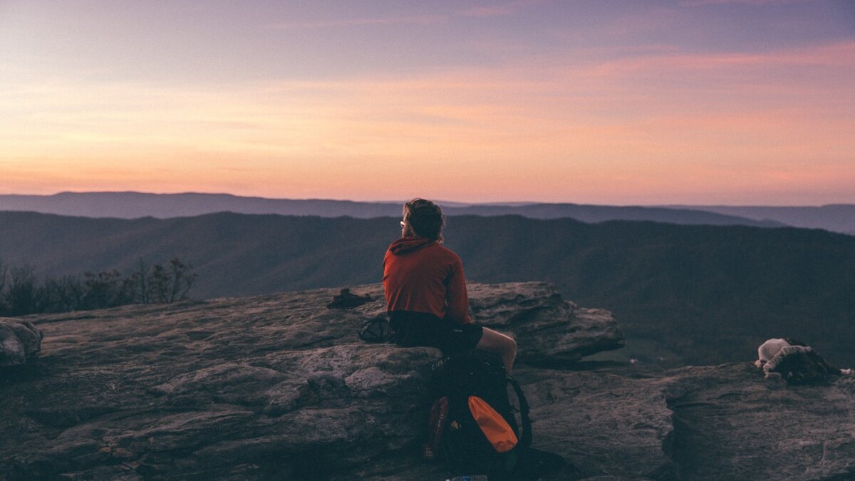 Какой вклад вносит цель и смысл в наше счастье и удовлетворение?