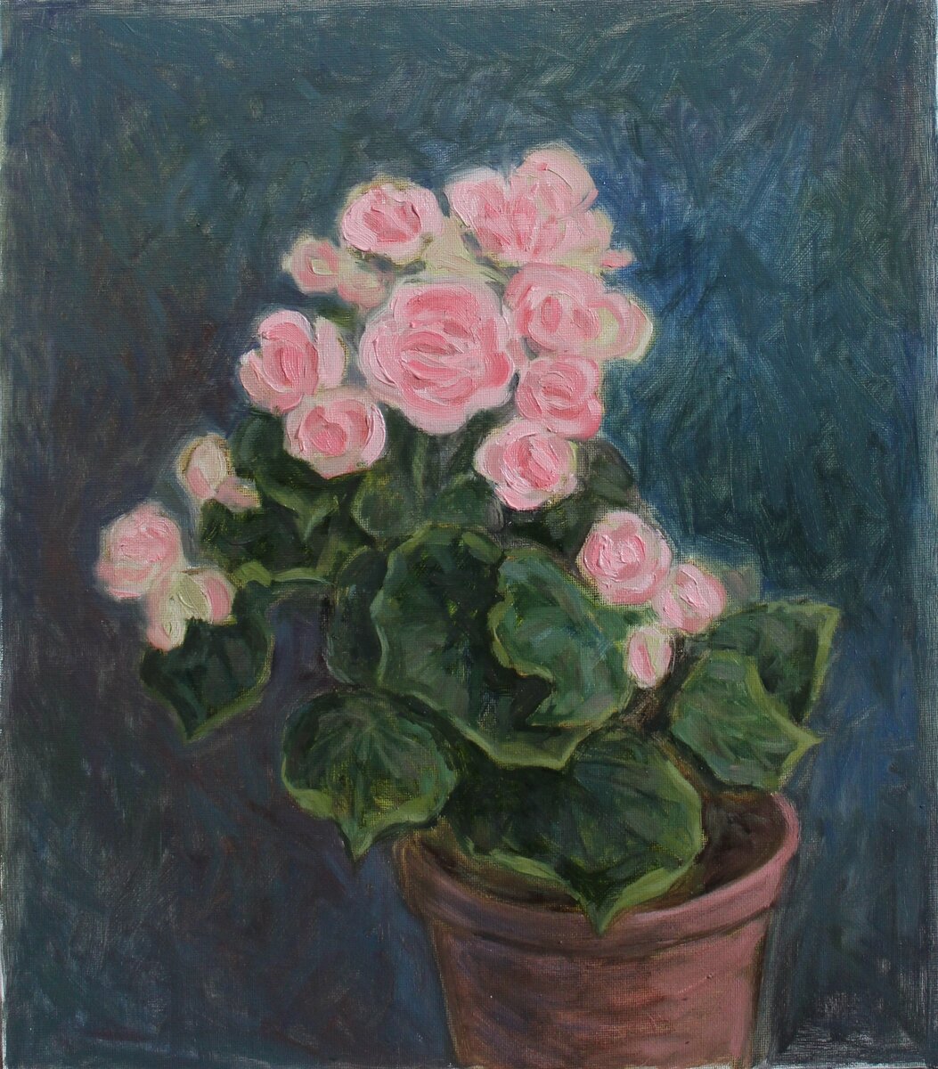 Работа автора. Бегония. 35х40, холст, масло.