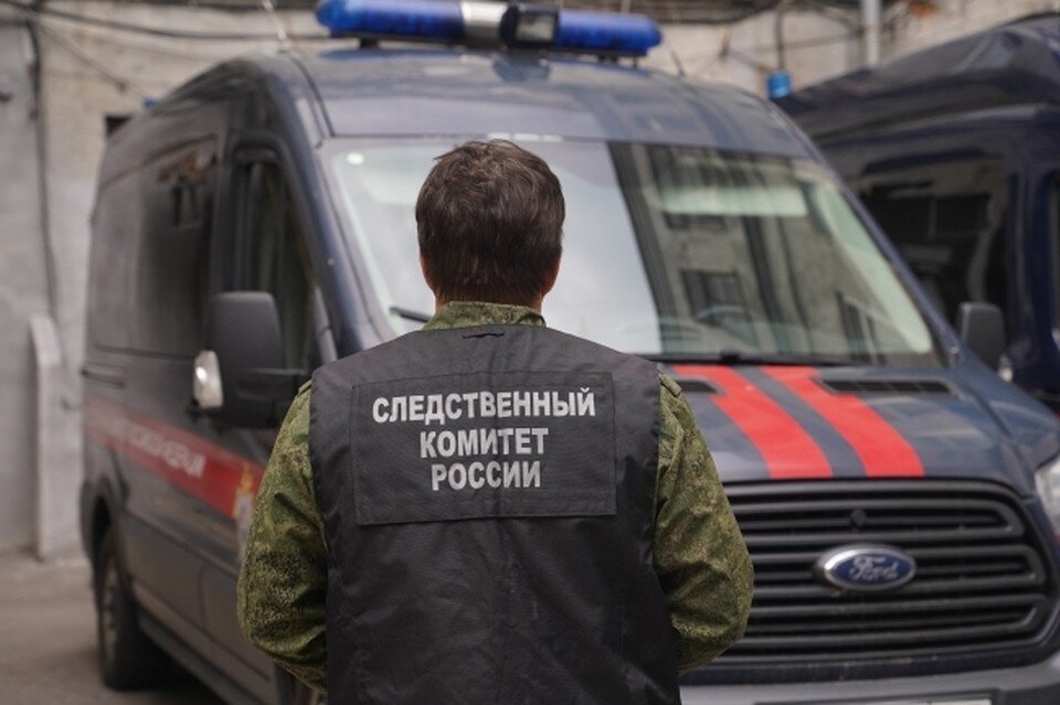     В Ростовской области следком возбудил уголовное дело в отношении мужчины, который убил брата Светлана МАКОВЕЕВА