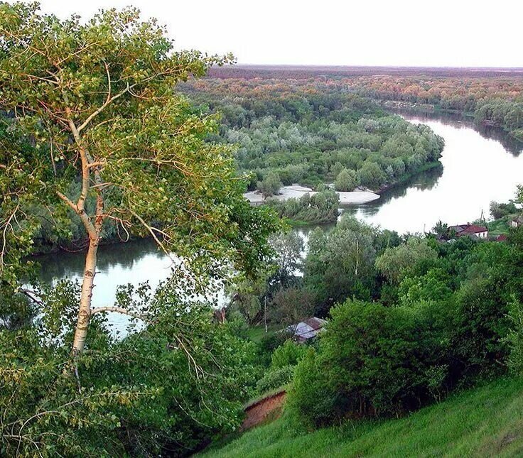 Воронежская природа. Природа Воронежской области Хопер. Новохоперский район заповедник. Природа Воронежского заповедника. Заповедники Воронежской области.