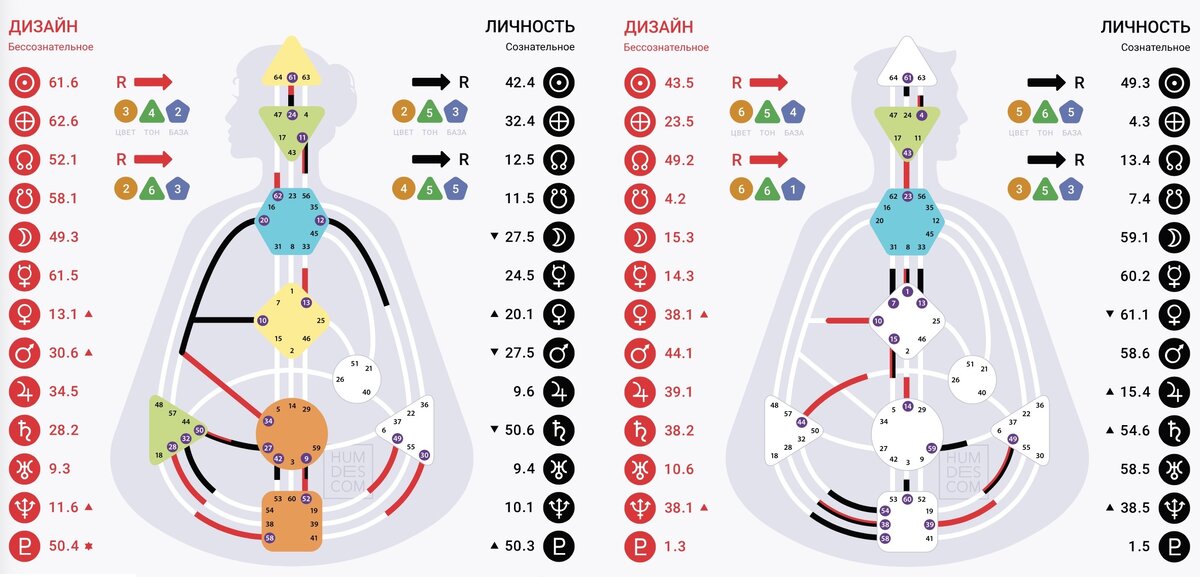 Карта жены (слева) и мужа (справа) 