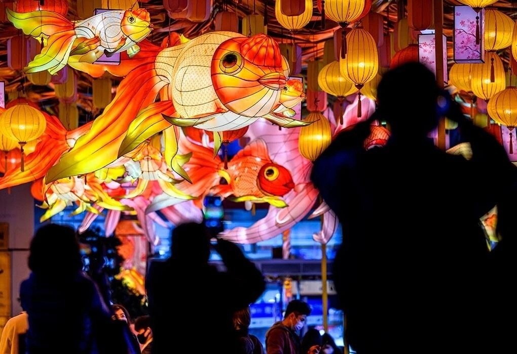 Фото из открытых источников