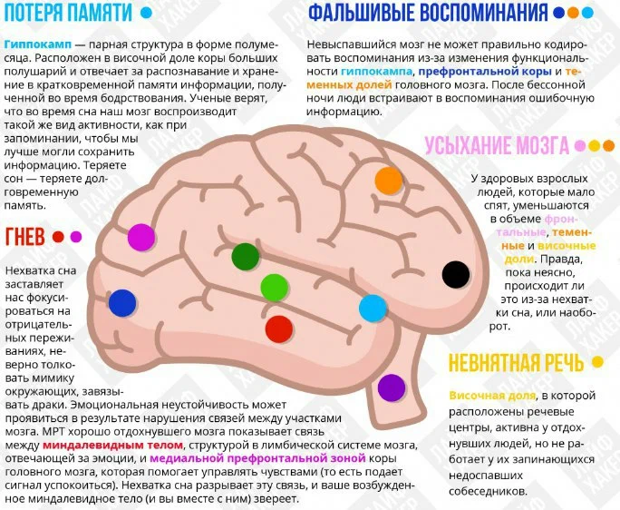 Карта тела повторяй и развивай свой мозг