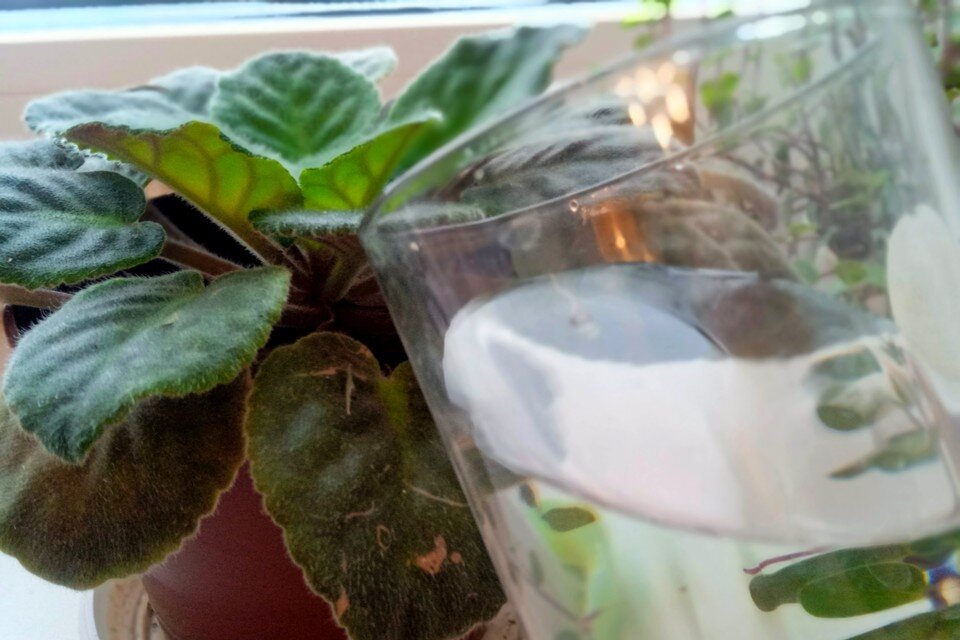     Жители улицы Гагарина и частного сектора Липецка останутся без холодной воды 11 февраля Юлия КЛЮЕВА