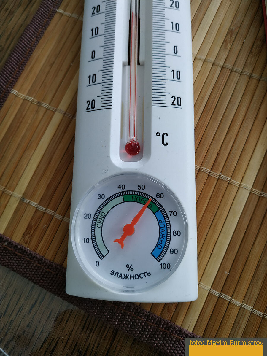 Влажность в доме – в норме, хотя за окном – оттепель и все течет и капает.